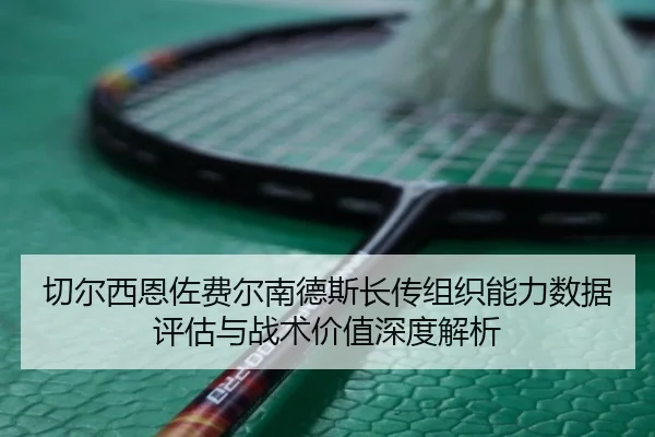 切尔西恩佐费尔南德斯长传组织能力数据评估与战术价值深度解析