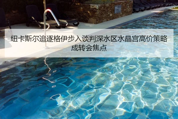 纽卡斯尔追逐格伊步入谈判深水区水晶宫高价策略成转会焦点
